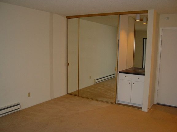 Mirror Closet in Liv. Rm.