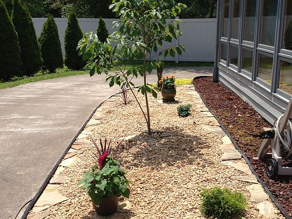 Landscaping out back