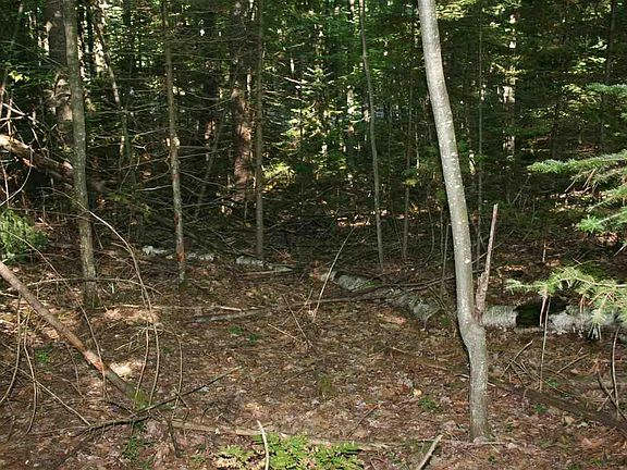 3rd image of Mackenzie Dr