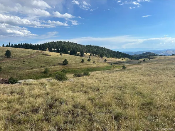 1100 Grumpy Burro View, Cripple Creek, CO 80863