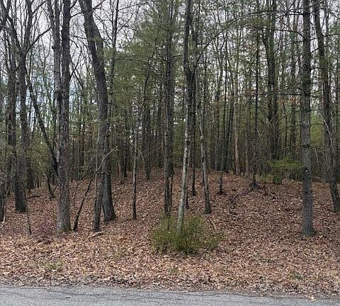 3rd image of LOT 35 Majestic Dr