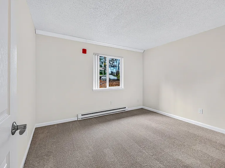 Timberwood — Photo 19