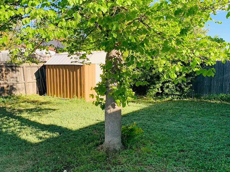7278 Urban Dr — Photo 34