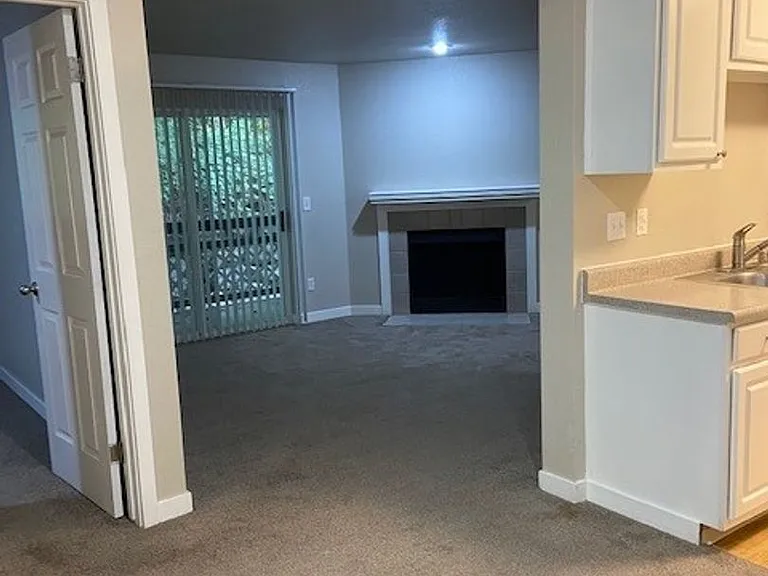 Signature Apartments — Photo 13