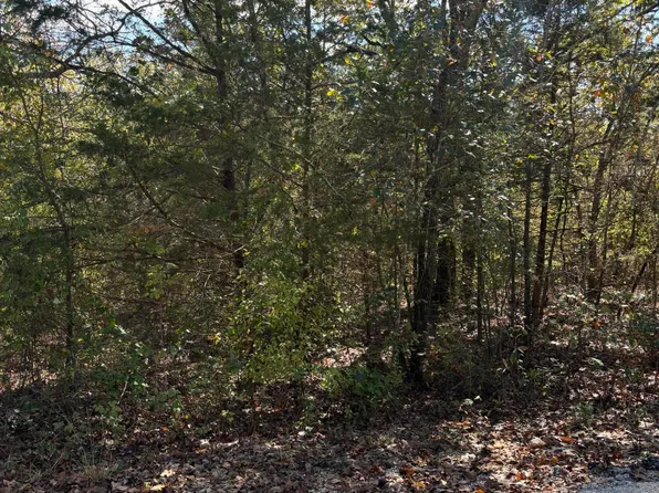 000 Farm Road 1267, Shell Knob, MO 65747