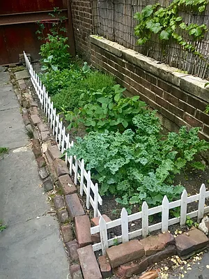 Rented by Jonathan Wachtel, LREB | media 26