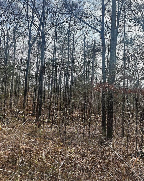 1st image of 9012 Pinenoll Ln