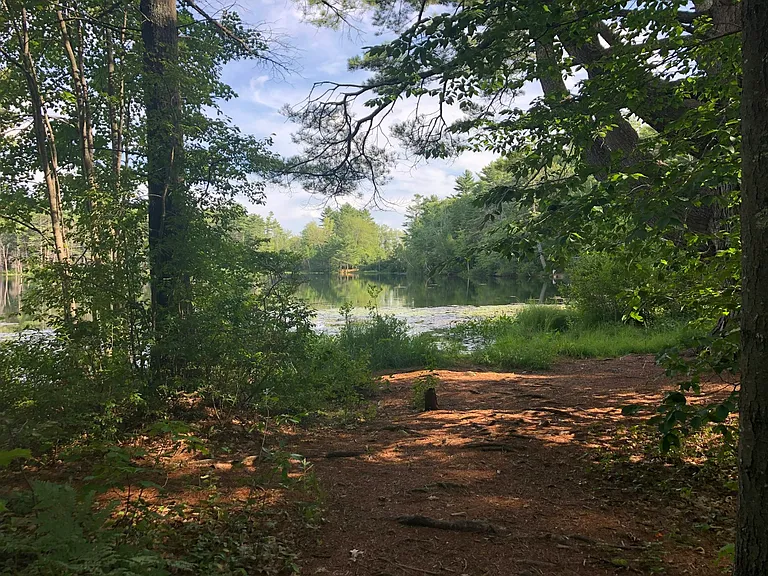 5 Anglers Rd — Photo 15