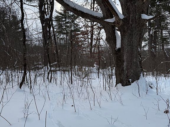 2nd image of Route 949