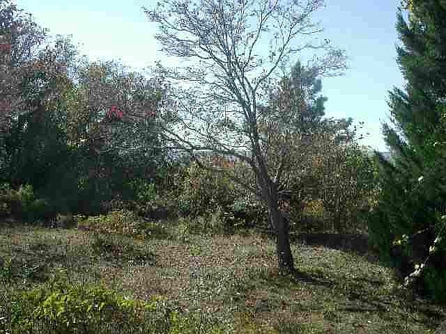1st image of 118 Gifford Cir