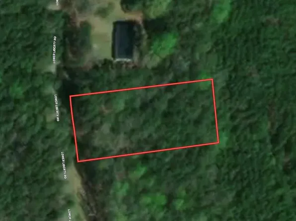 Lower Liberty Rd, Nathalie, VA 24577