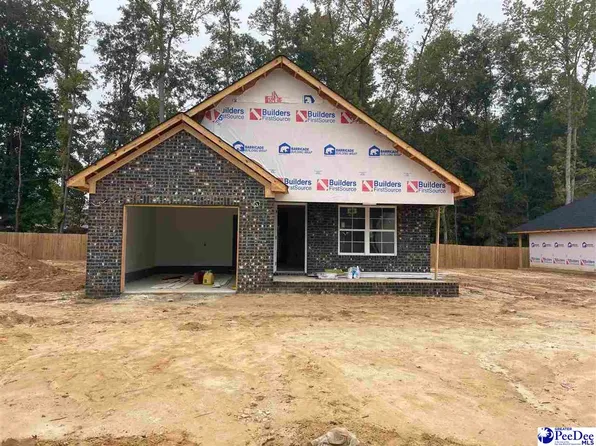 3264 Spiral Ln, Effingham, SC 29541