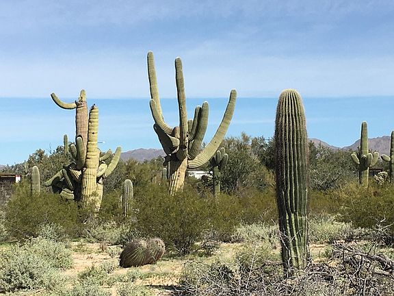 3rd image of 9655 N Camino De Oeste