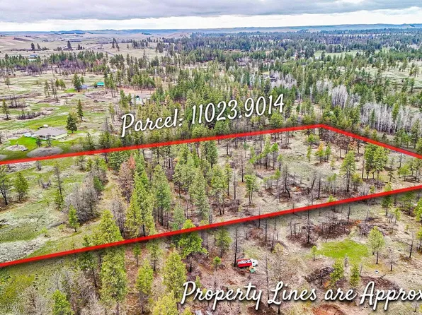 35XXX S Rock Lake Rd Parcel C, Cheney, WA 99004