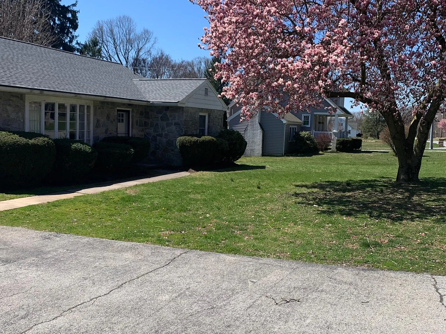 546 W Kings Hwy — Photo 4