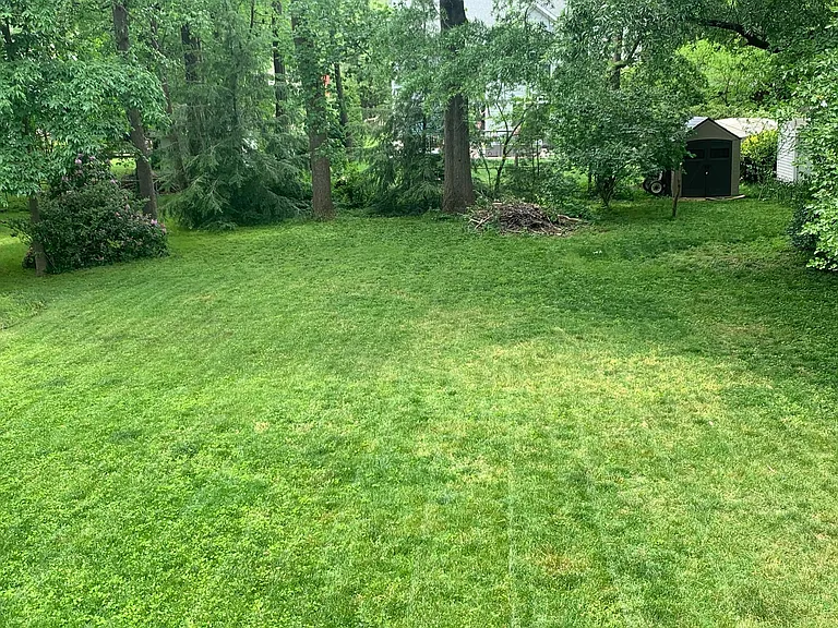 Huge back yard with shed.