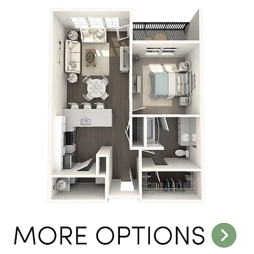 Floor plan 1 Bedroom, 1 Bathroom Apartment