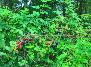 1 Ritchie Br, Jackson, KY 41339