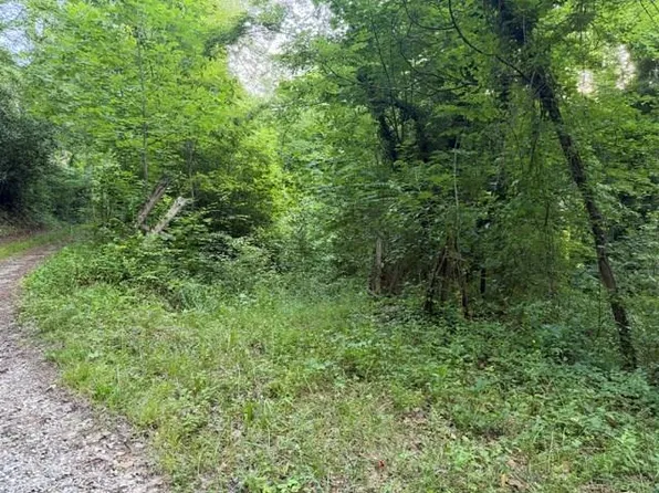 0 Heavenly View Dr, Sylva, NC 28779