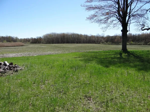 6134 126th Ave, Fennville, MI 49408