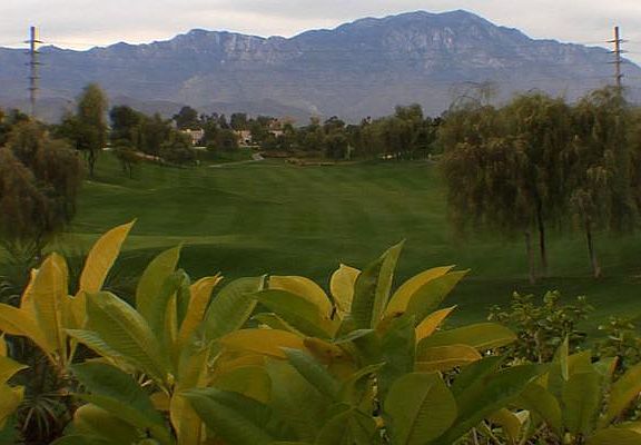 4th image of 80679 Camino San Lucas