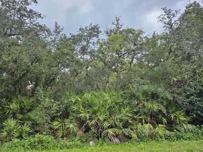 0 Grape Avenue, Okeechobee, FL, 34972