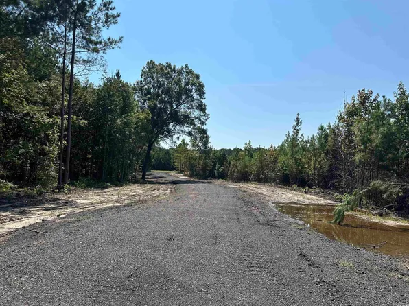TBD Santee Rd. #Suttons Rd, Andrews, SC 29510