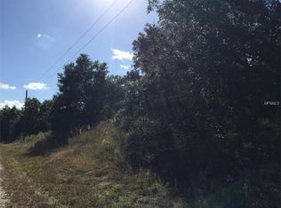 7026 Larry Ave, Webster, FL 33597