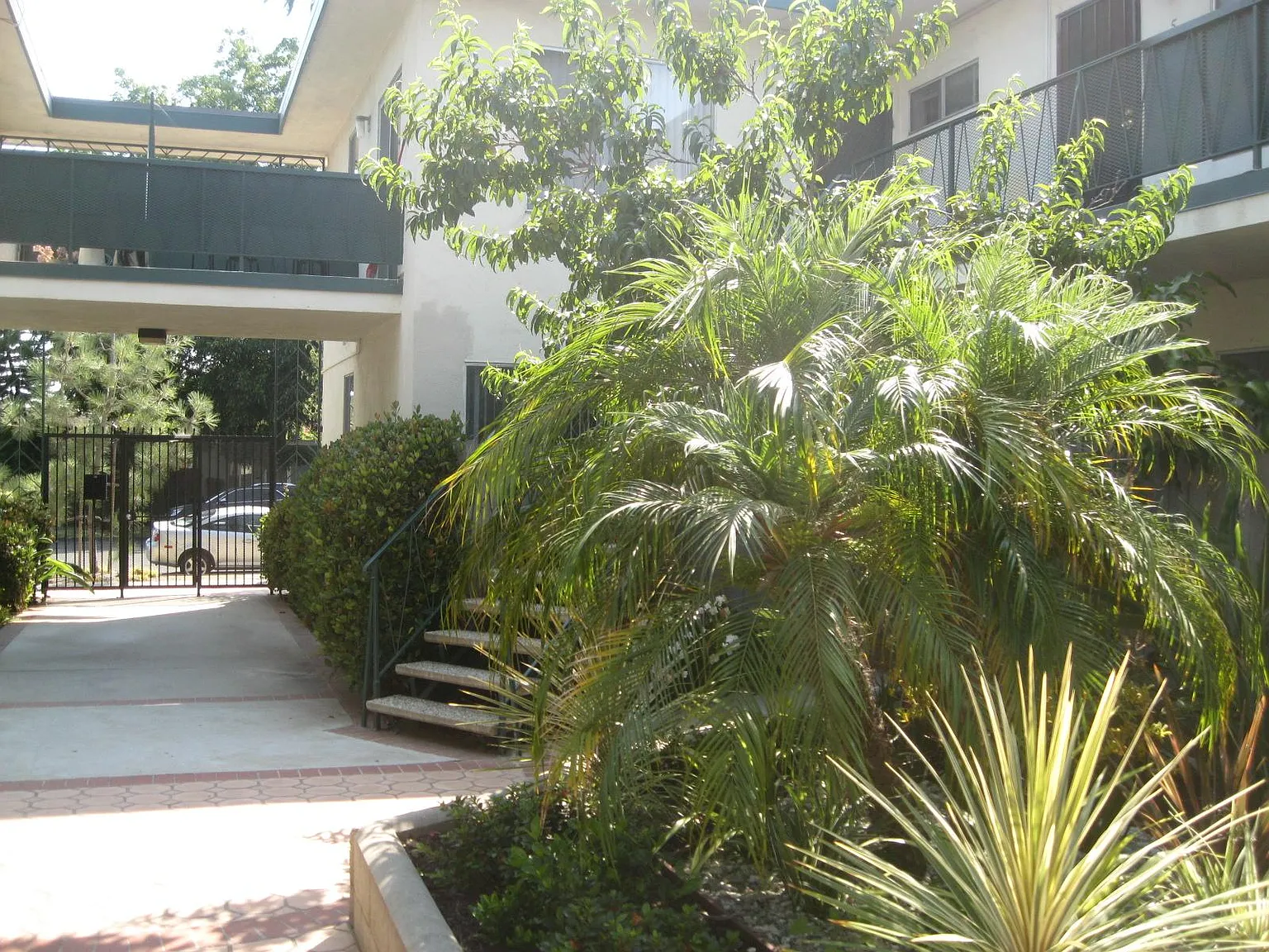 2 bed, 900 sqft, $3,100 — Photo 1