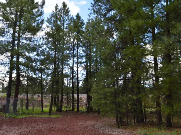 24A N Philip Ave, Parks, AZ 86018