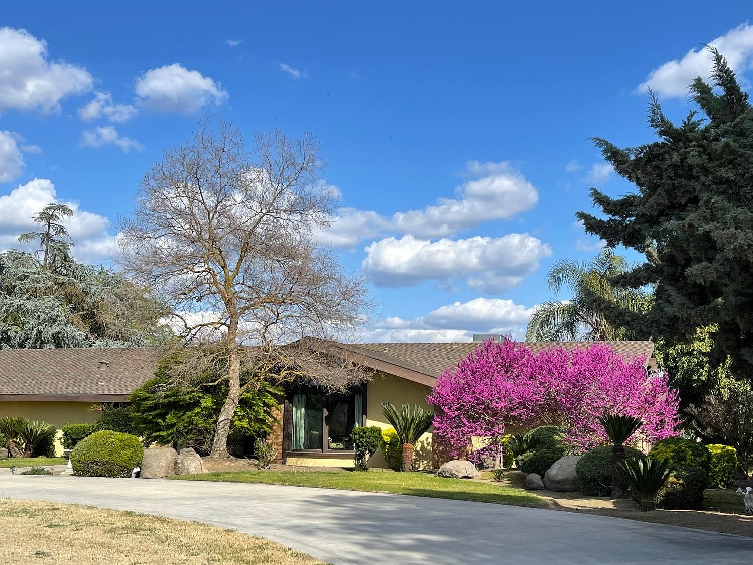 600 N Bethel Ave, Sanger, CA 93657 Zillow