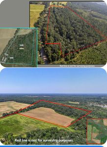 0 Mount Zion Rd, Cottonwood, AL, 36320