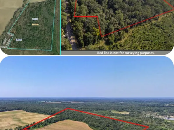 0 Mount Zion Rd, Cottonwood, AL 36320