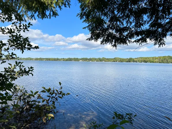 10204 W Munro Lake Dr, Levering, MI 49755