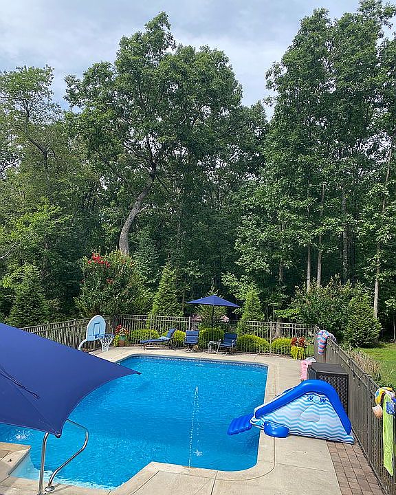 Back yard wooded no visible 