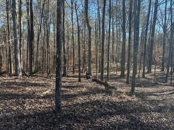 0 Carl Mathis Rd, Talbotton, GA 31827