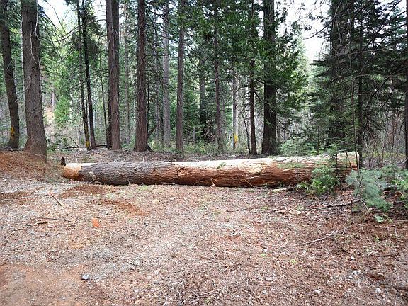 3rd image of Caine Rd