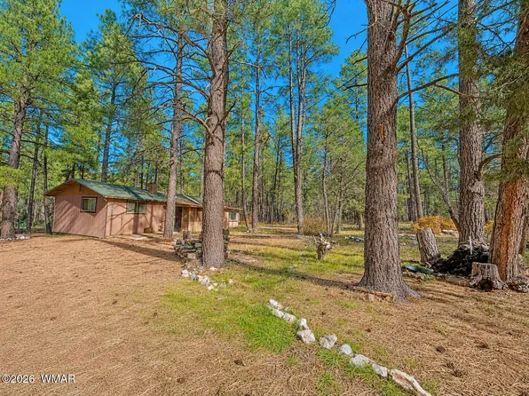 2842 Gold Dust Trl, Show Low, AZ 85901