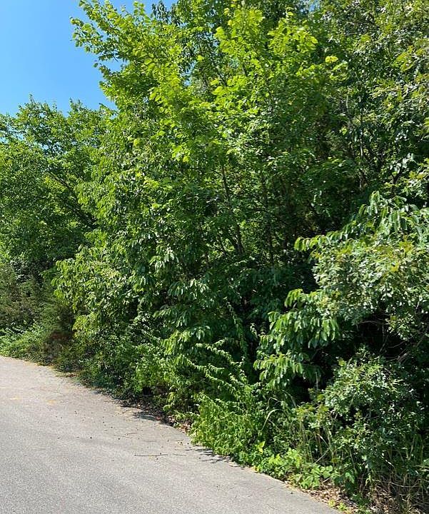 2nd image of 31674 Dogwood Ln