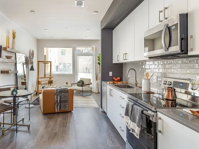 Scheme 1 Kitchen and Living Area