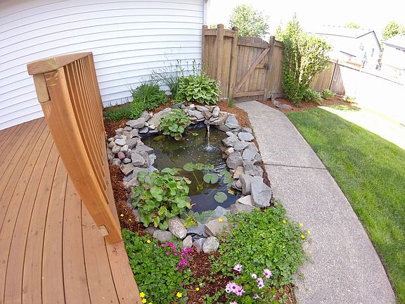 Fish pond