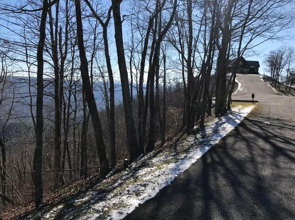 90 White Rock Trl, Caldwell, WV 24925