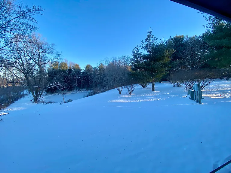 7454 Moore Rd — Photo 14