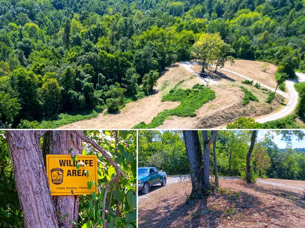 2692 Wells Run Rd, Crown City, OH 45623