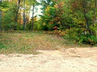 16172 Timberline Dr, Wolverine, MI 49799