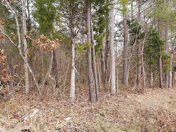 4th image of 0 County Road 187 #188-lot 1