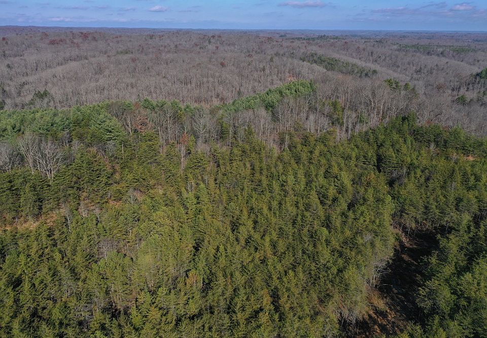 Aerial drone view from the southwest corner looking over the property into the National Forest