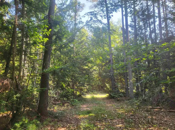 45 Morris Avenue Tax Map 406-34 AKA Lot 6, Effingham, NH 03882