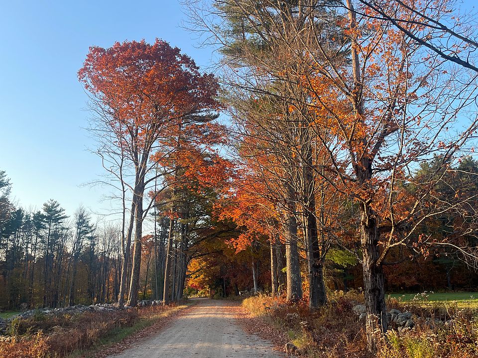 Quiet road
