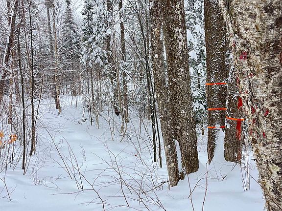 4th image of 1606 Town Farm Road